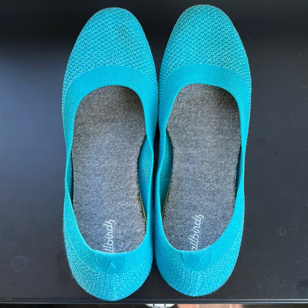 Allbirds Teal Tree Breezers GUC